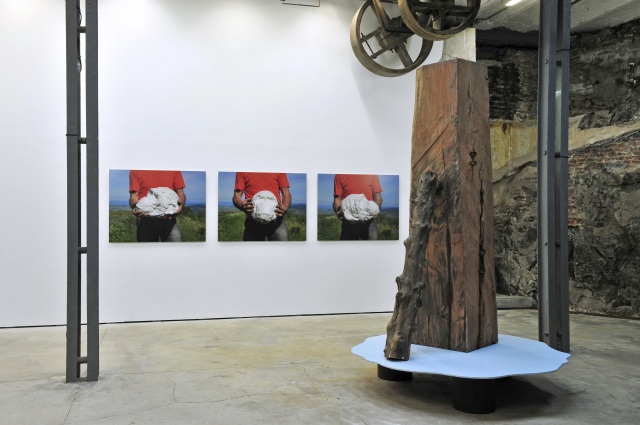 files/photos et falaise et if.jpg